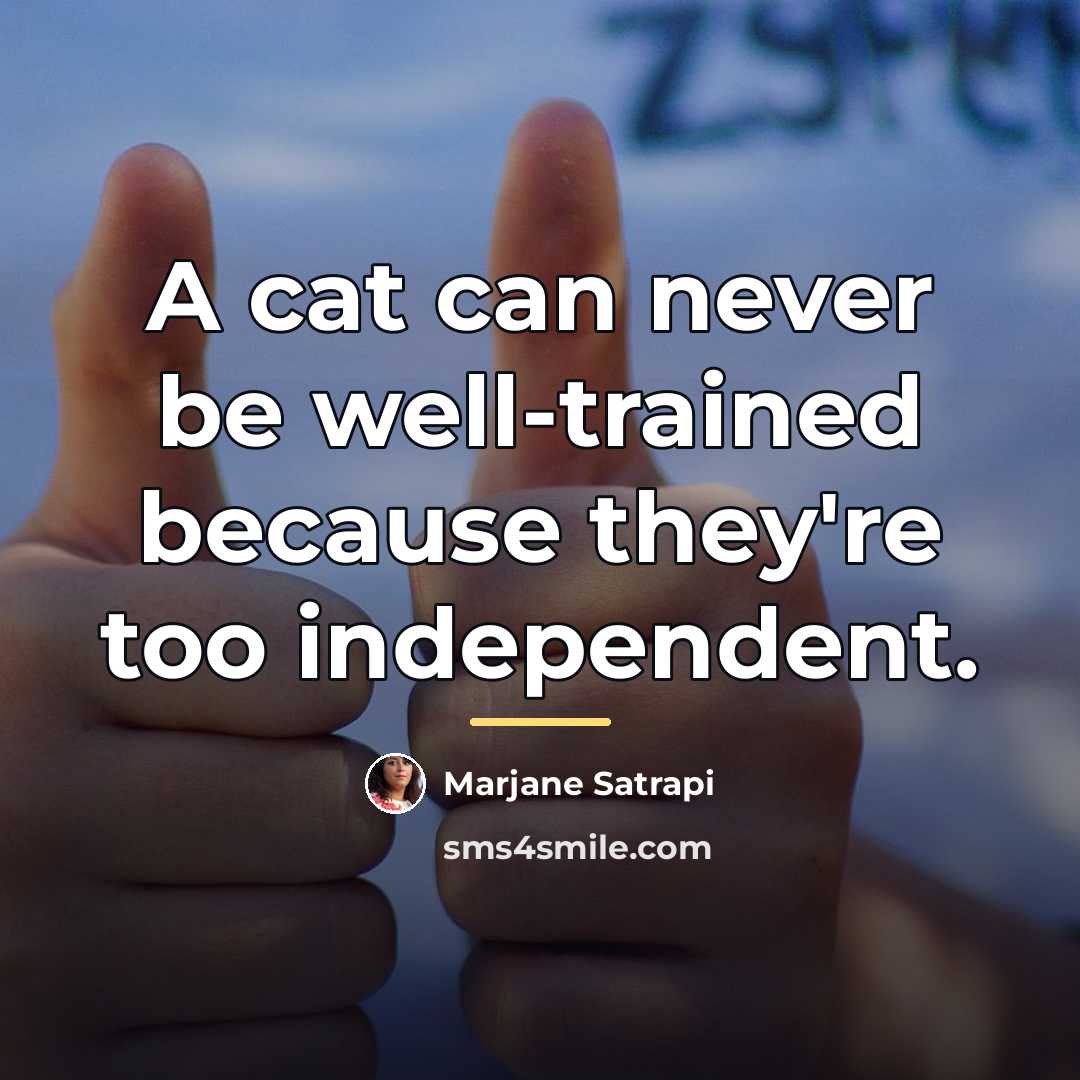“A cat can never be well-trained because they're too independent.…” quote by Marjane Satrapi