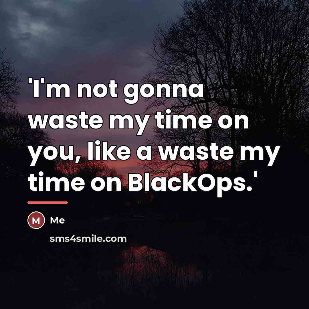 “'I'm not gonna waste my time on you, like a…” quote by Me
