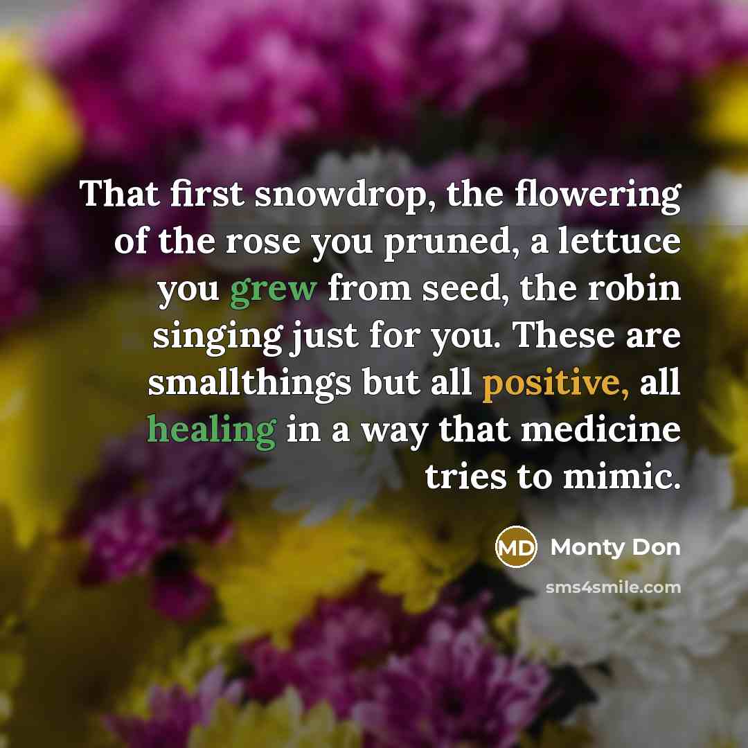 “That first snowdrop, the flowering of the rose you pruned,…” quote by Monty Don