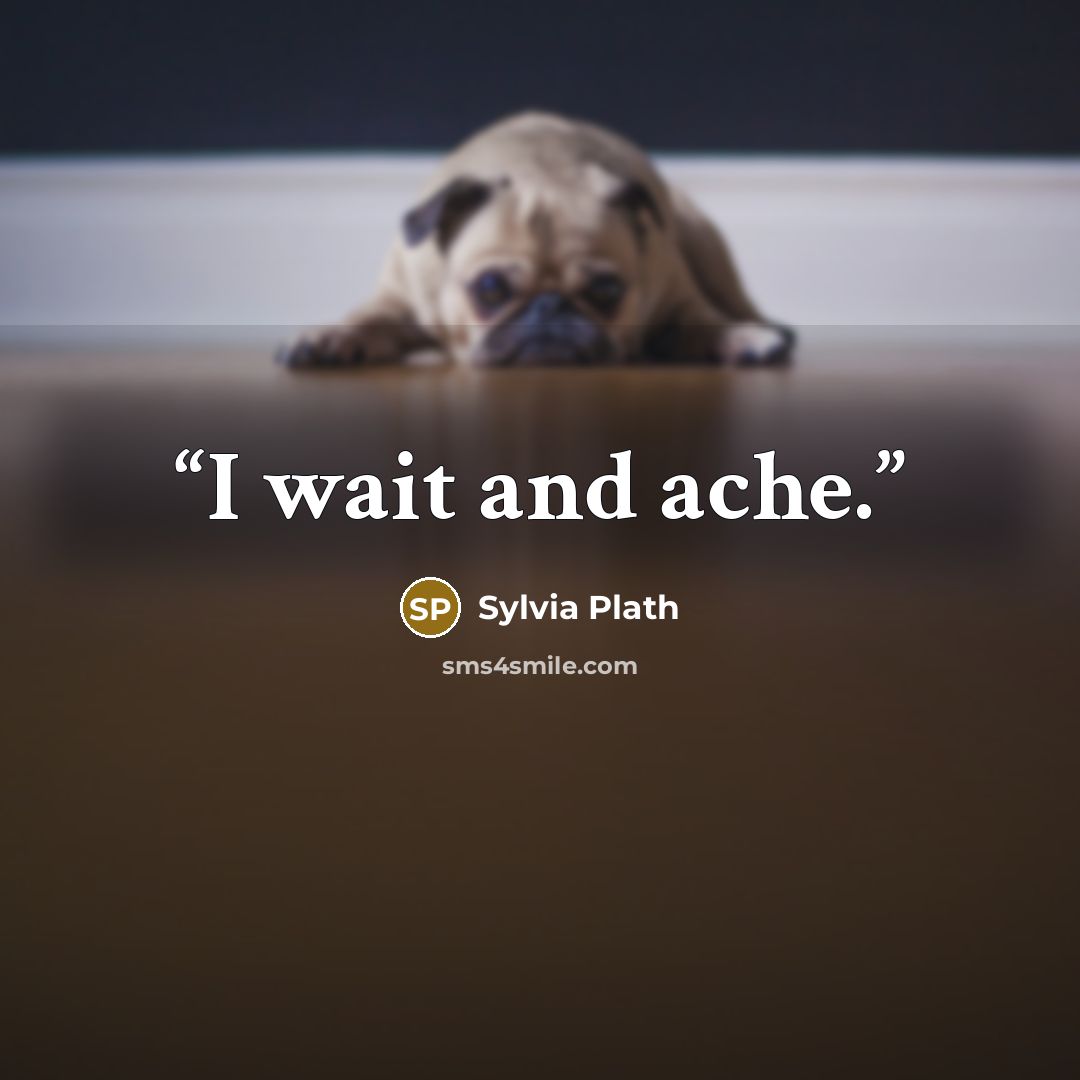 “I wait and ache.” quote by Sylvia Plath