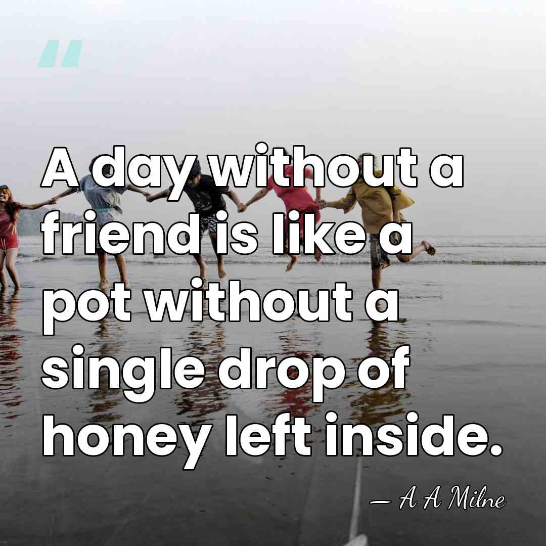 A day without a friend is like a pot without a single&hellip; - A A Milne