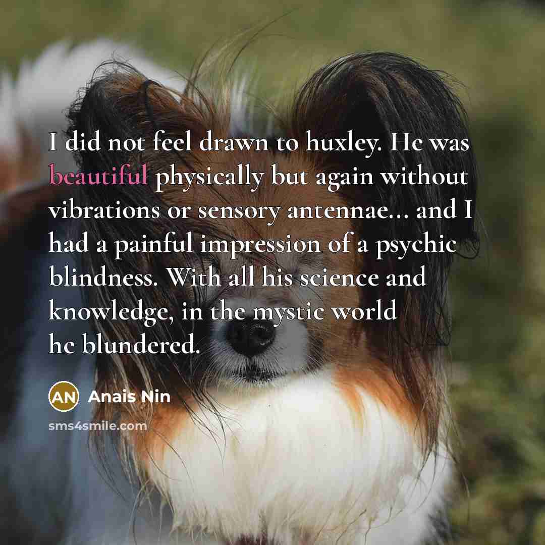 “I did not feel drawn to huxley. He was beautiful…” quote by Anais Nin