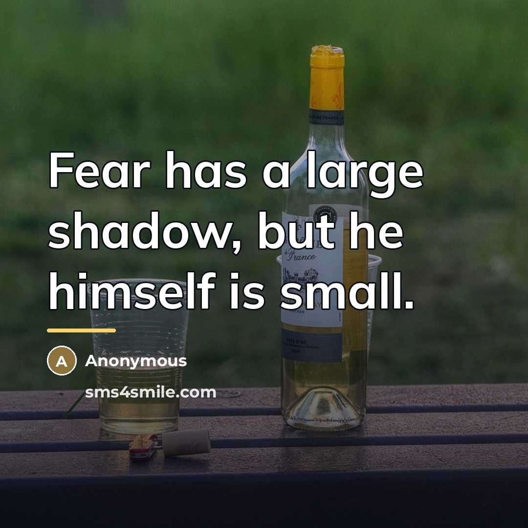 “Fear has a large shadow, but he himself is small.…” quote by Anonymous