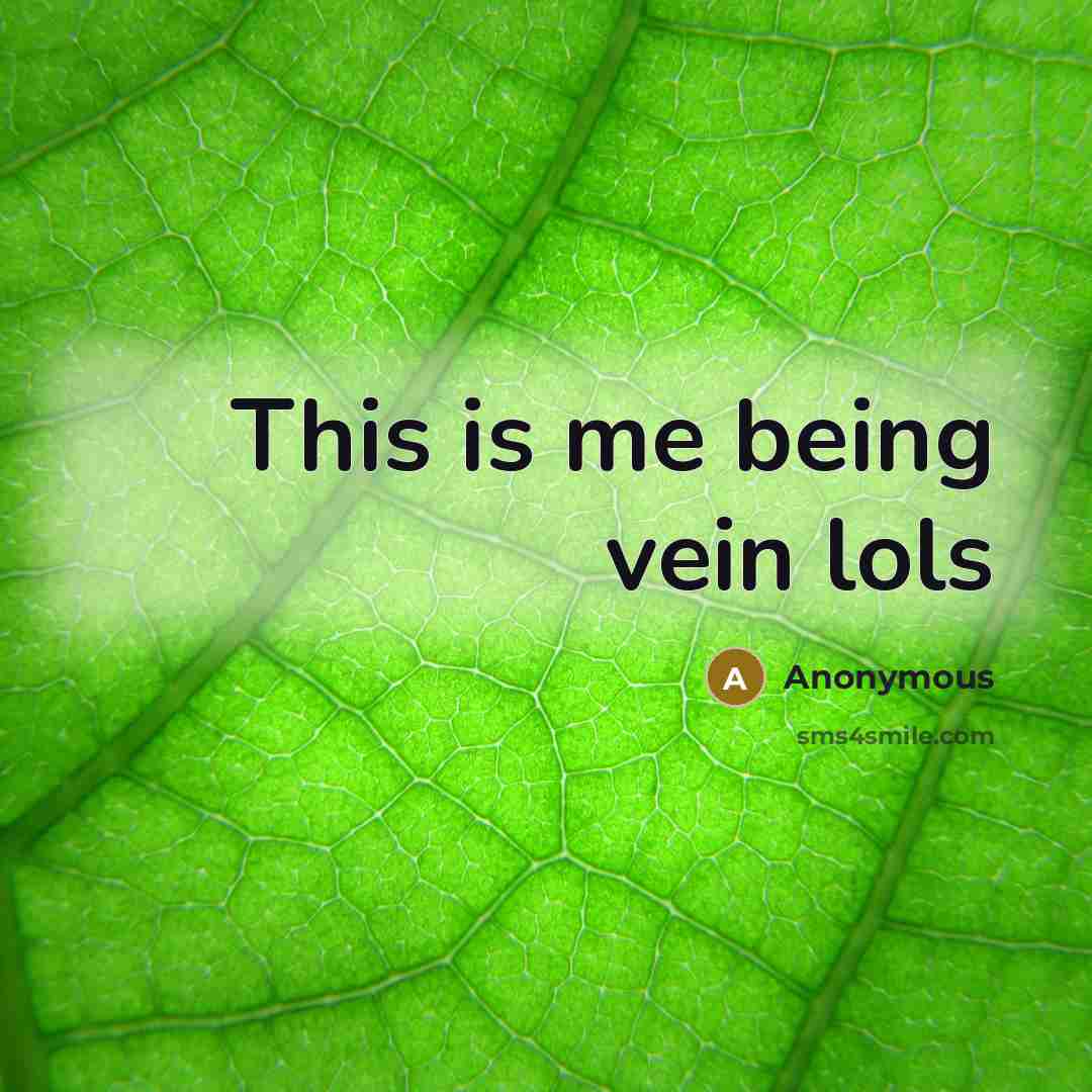 “This is me being vein lols…” quote by Anonymous