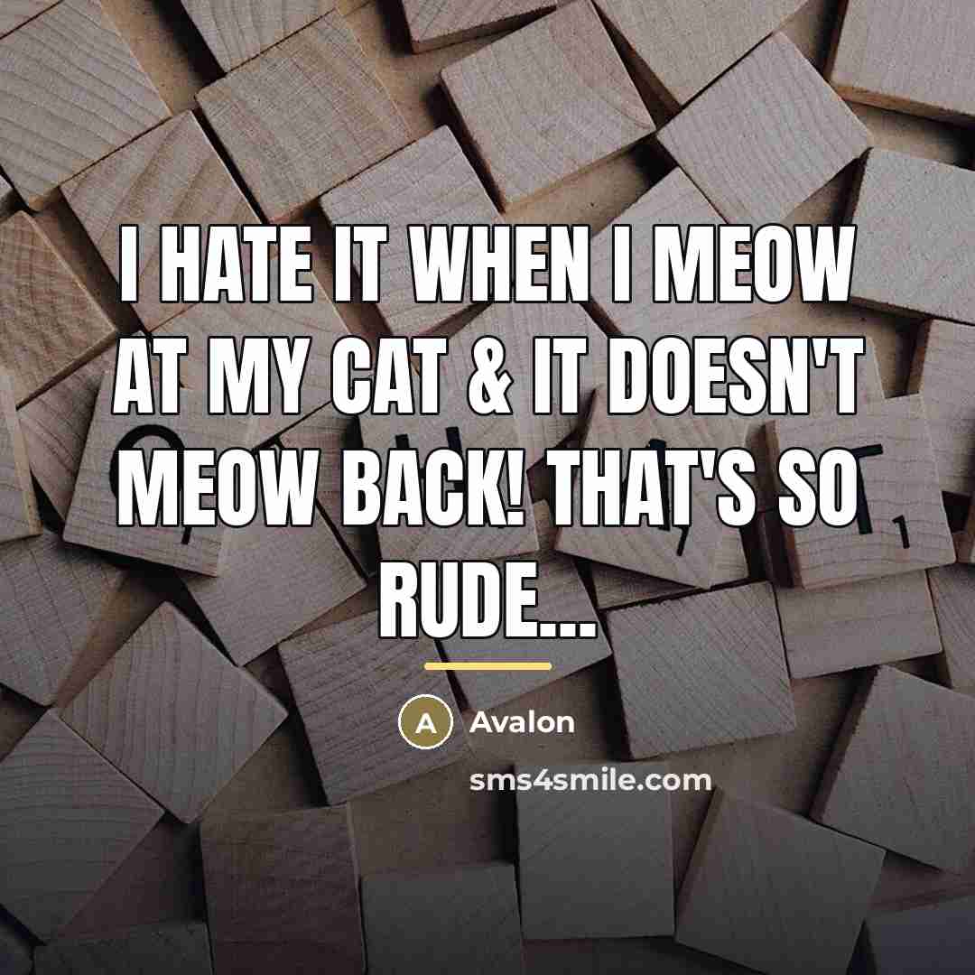 “I hate it when I meow at my cat &…” quote by Avalon