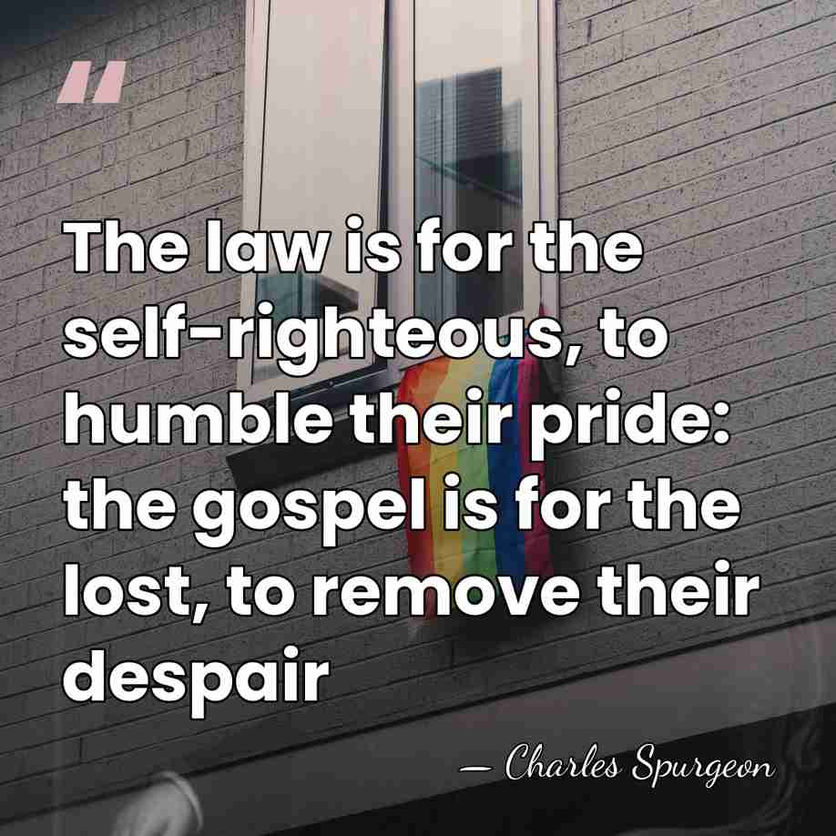 The law is for the self-righteous, to humble their pride: the gospel&hellip; - Charles Spurgeon