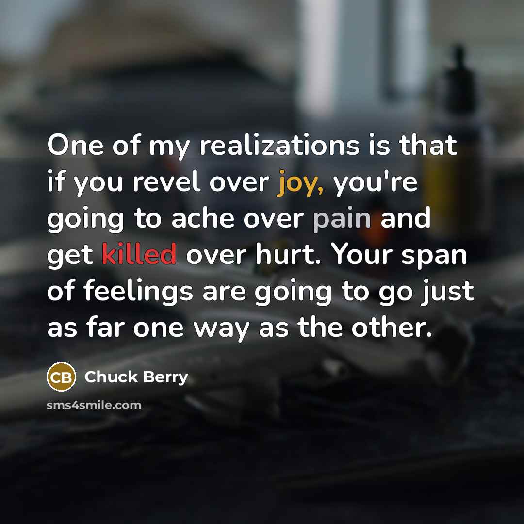 “One of my realizations is that if you revel over…” quote by Chuck Berry