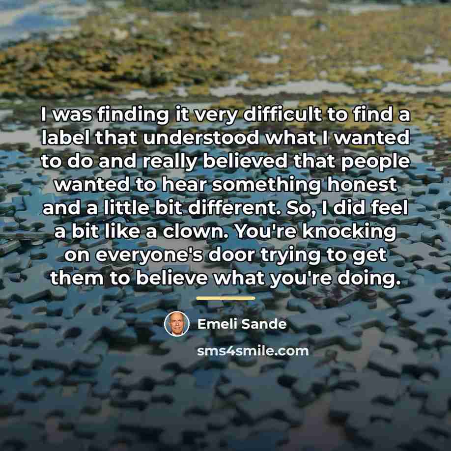 “I was finding it very difficult to find a label…” quote by Emeli Sande