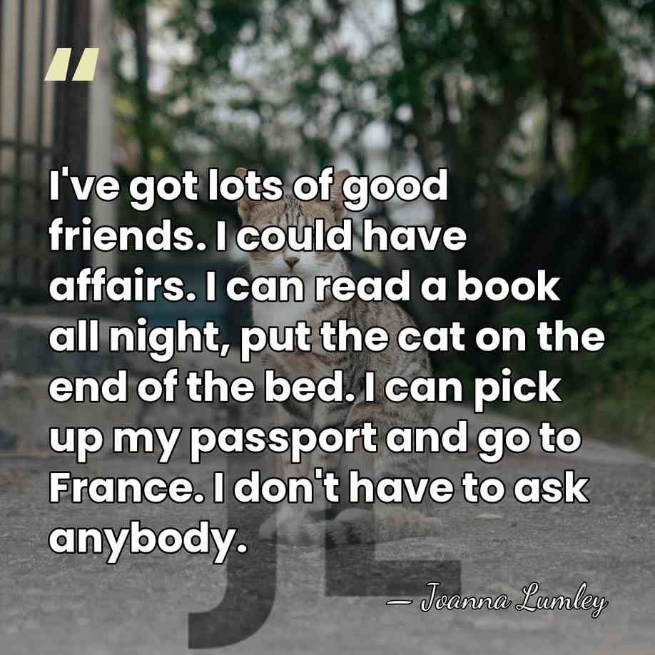I've got lots of good friends. I could have affairs. I can&hellip; - Joanna Lumley