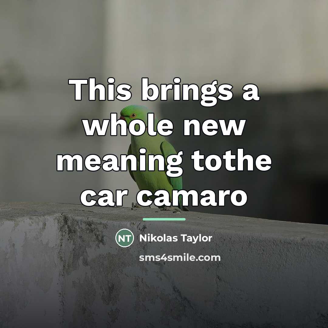 “This brings a whole new meaning tothe car camaro…” quote by Nikolas Taylor