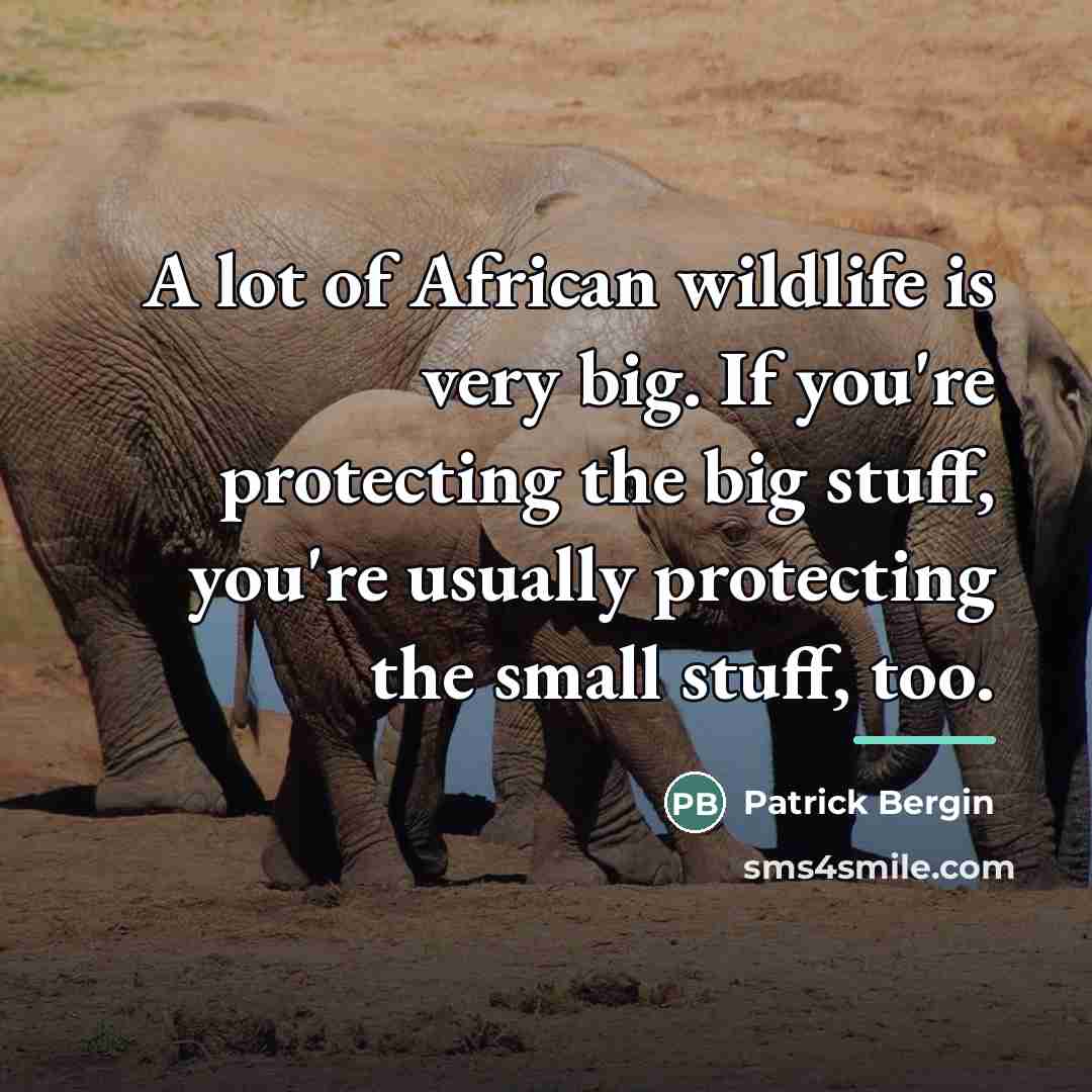 “A lot of African wildlife is very big. If you're…” quote by Patrick Bergin