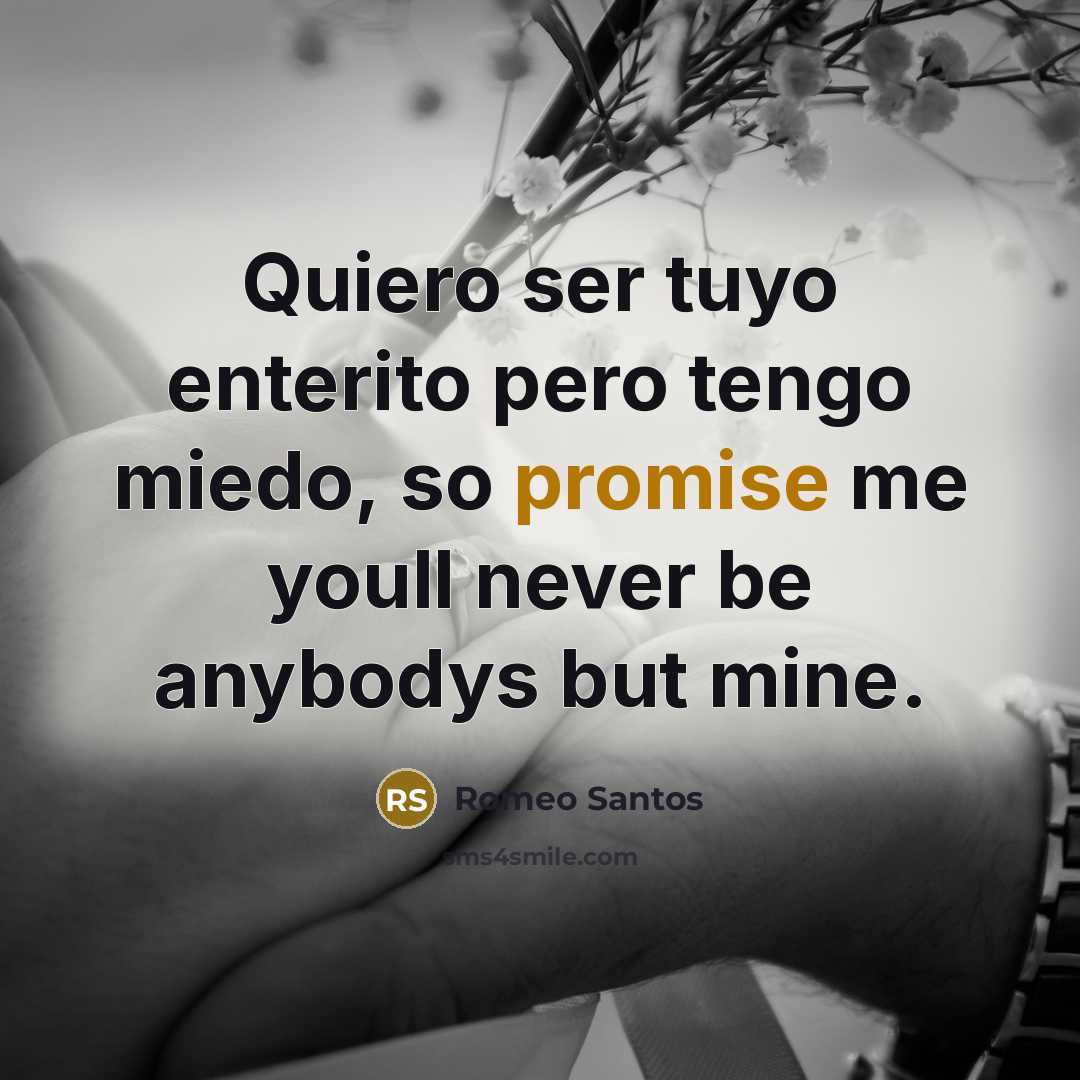 “Quiero ser tuyo enterito pero tengo miedo, so promise me youll never be anybodys but mine.” quote by Romeo Santos