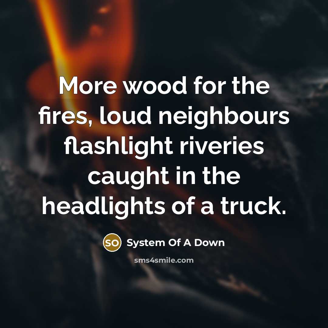 “More wood for the fires, loud neighbours flashlight riveries caught…” quote by System Of A Down