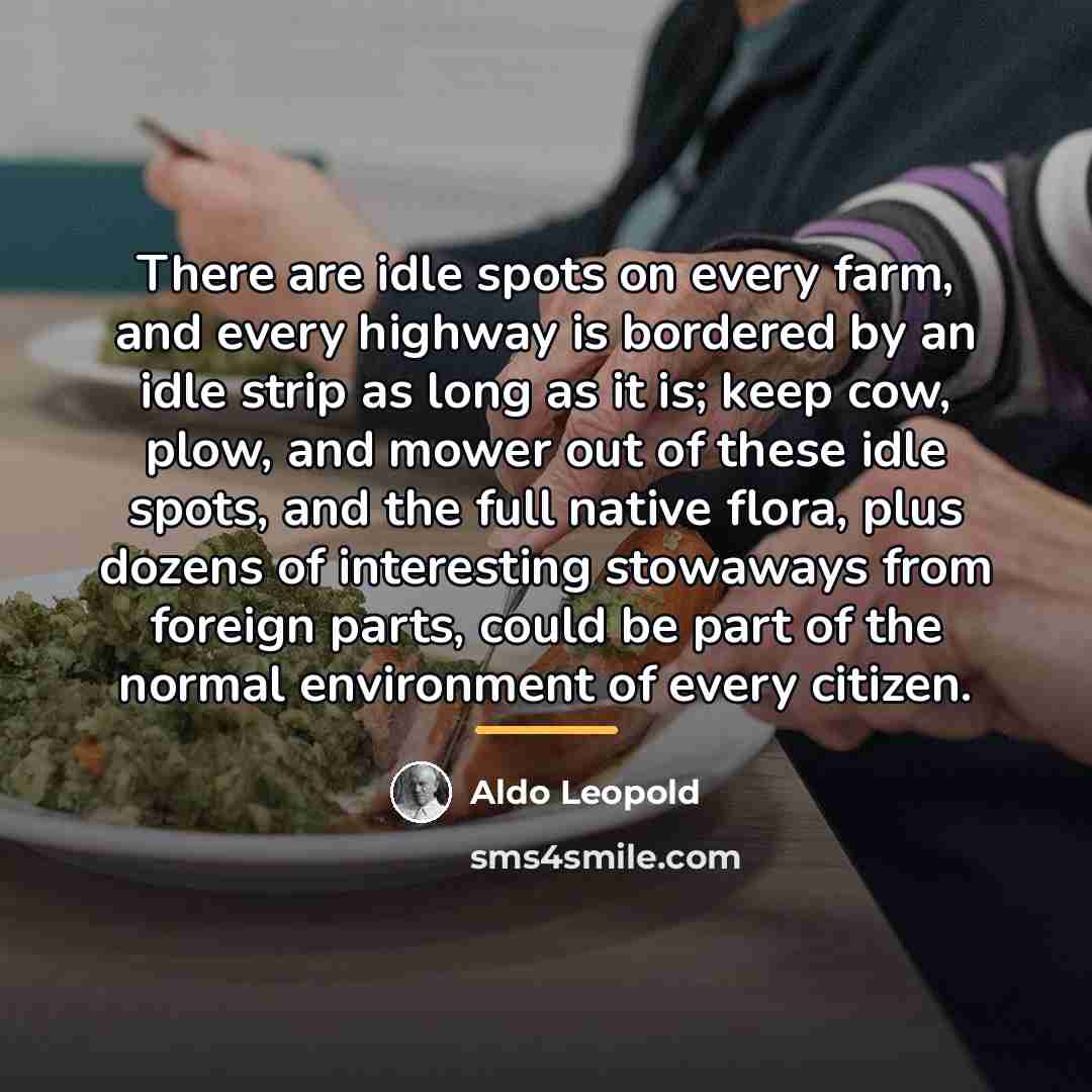 “There are idle spots on every farm, and every highway…” quote by Aldo Leopold