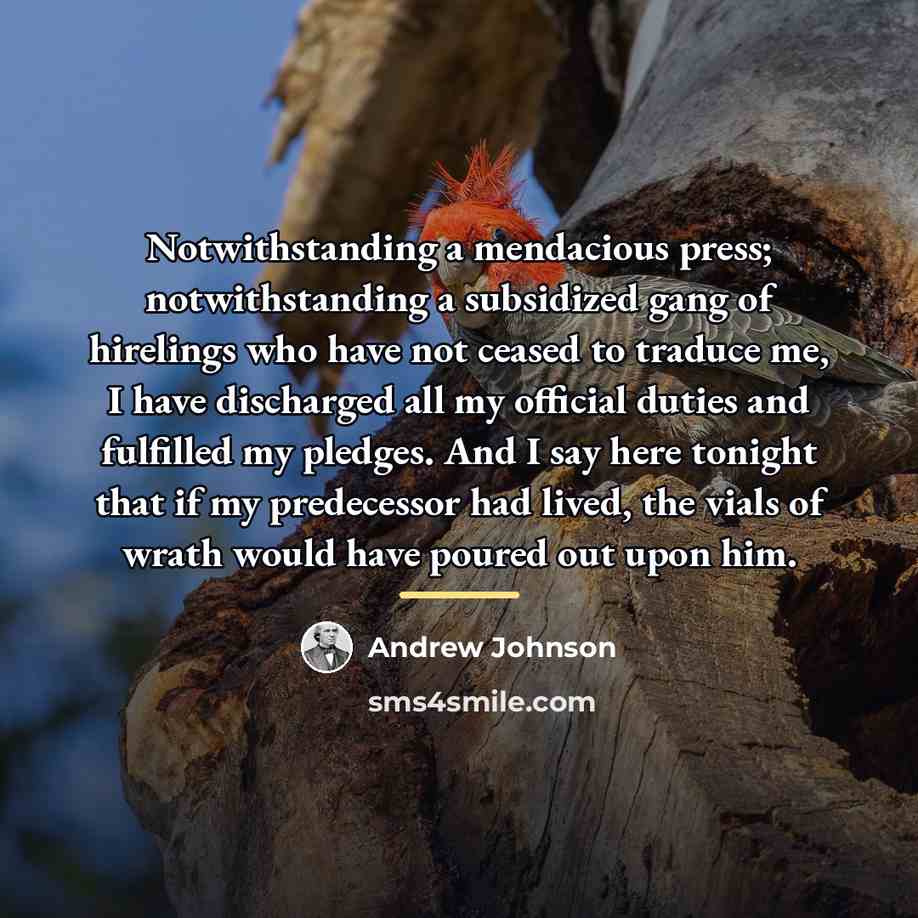“Notwithstanding a mendacious press; notwithstanding a subsidized gang of hirelings…” quote by Andrew Johnson