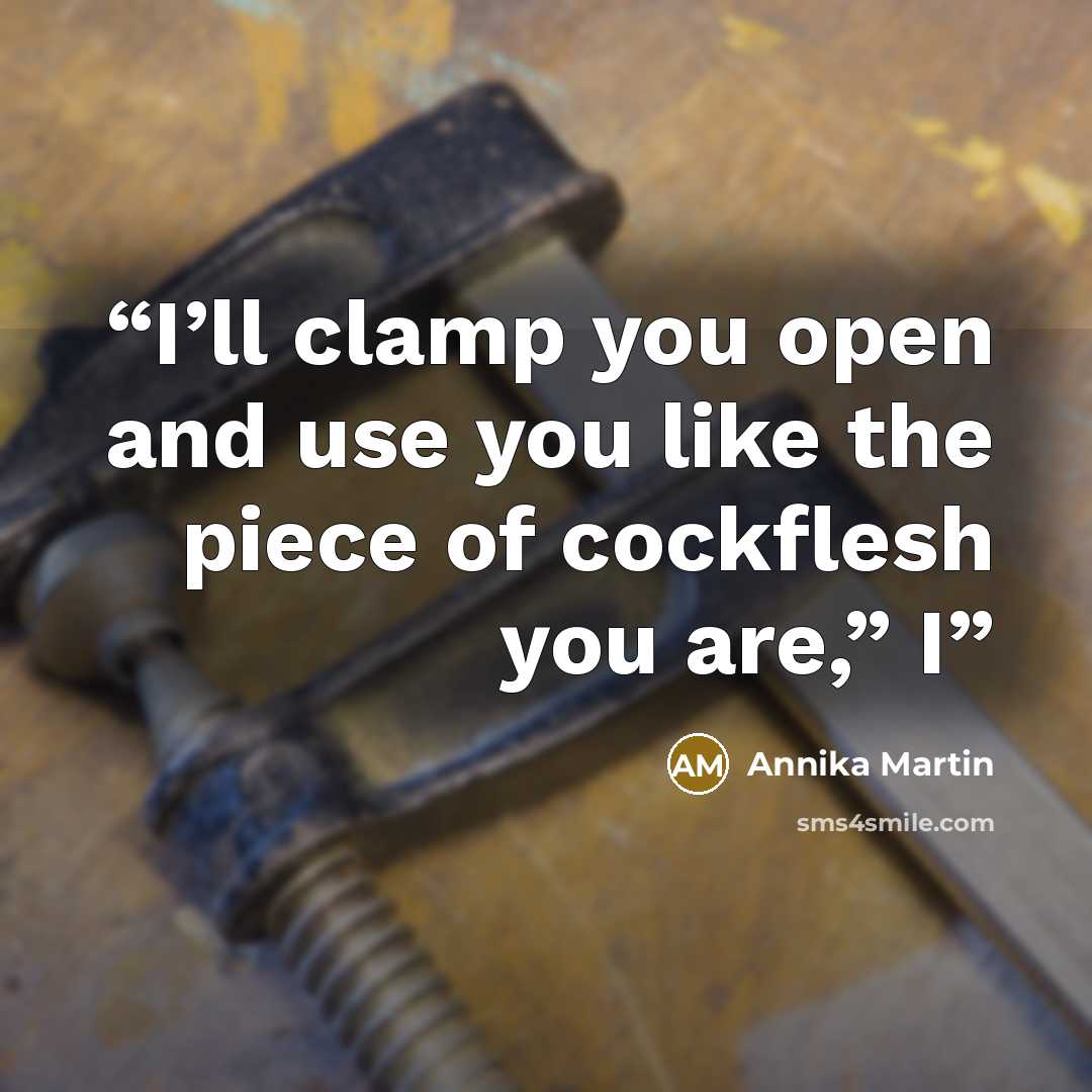 “I’ll clamp you open and use you like the piece of cockflesh you are,” I” quote by Annika Martin