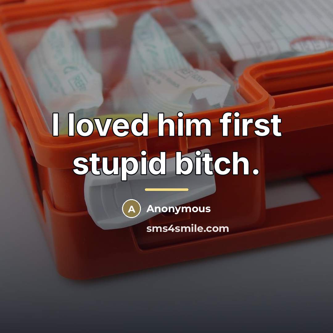 “I loved him first stupid bitch.…” quote by Anonymous