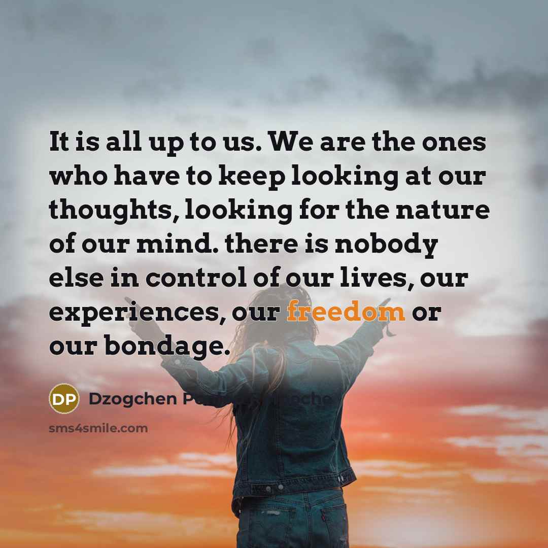 “It is all up to us. We are the ones…” quote by Dzogchen Ponlop Rinpoche