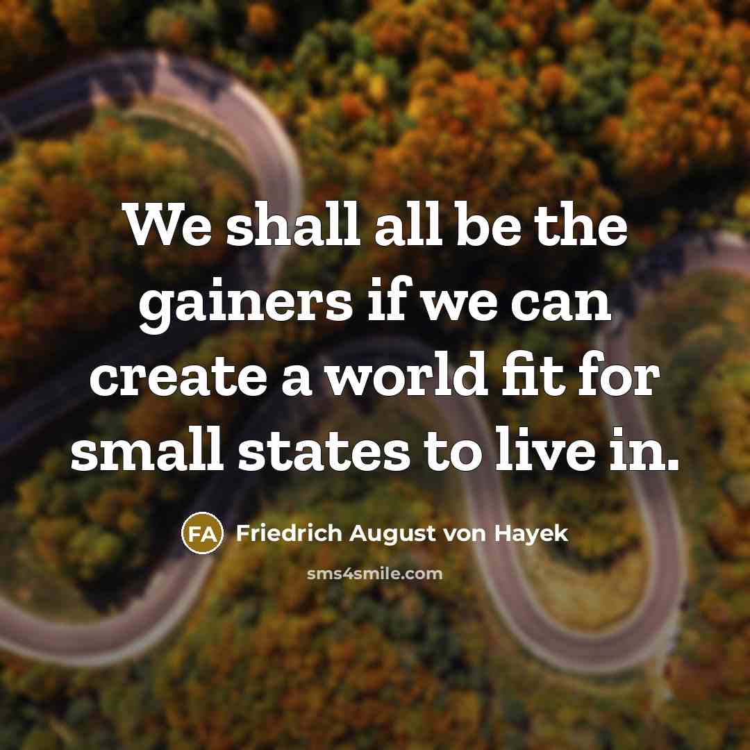 “We shall all be the gainers if we can create…” quote by Friedrich August von Hayek
