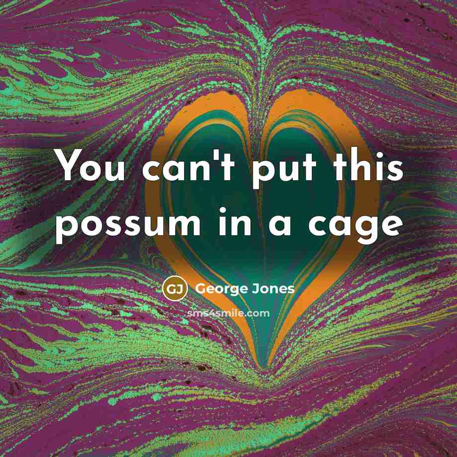 “You can't put this possum in a cage…” quote by George Jones