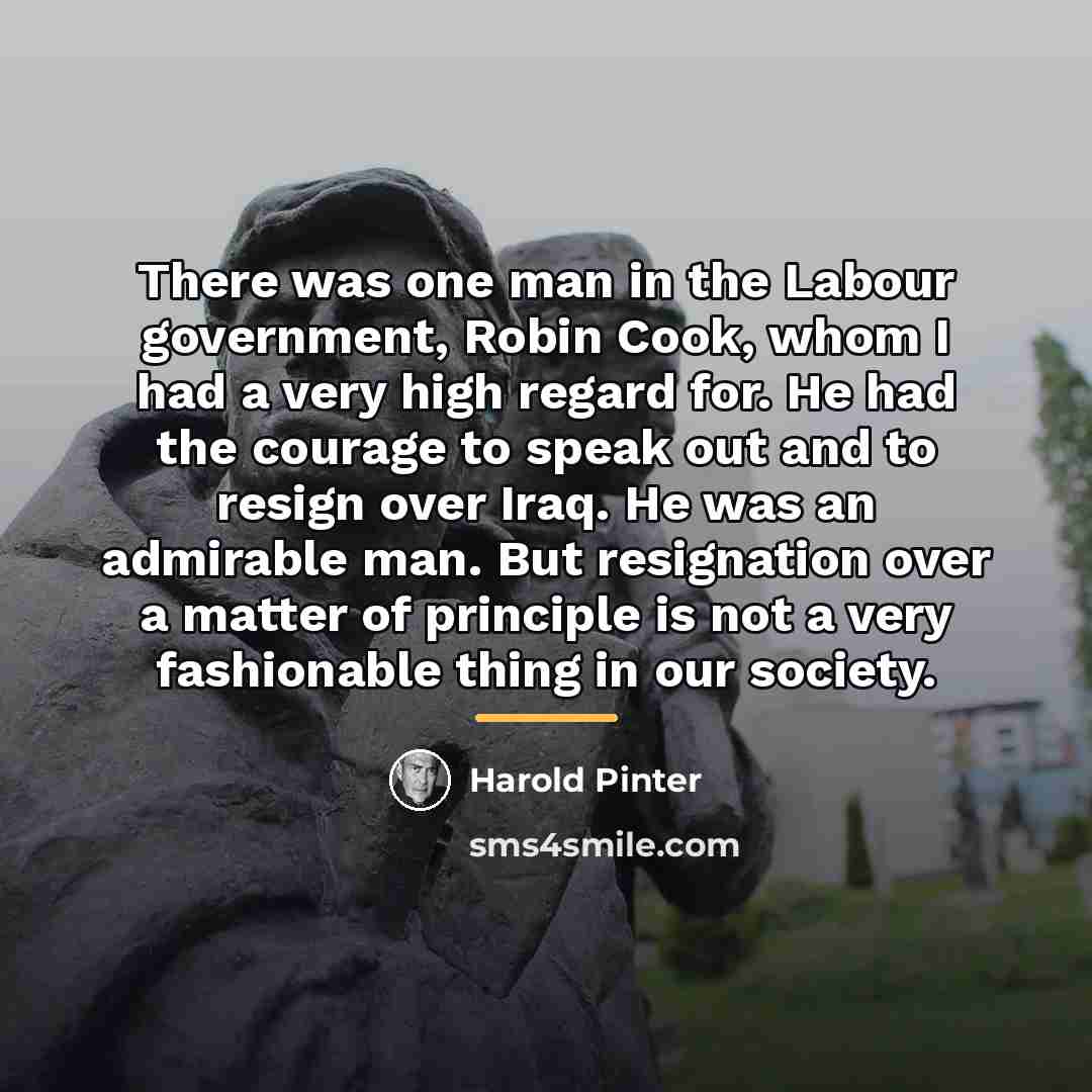 “There was one man in the Labour government, Robin Cook,…” quote by Harold Pinter