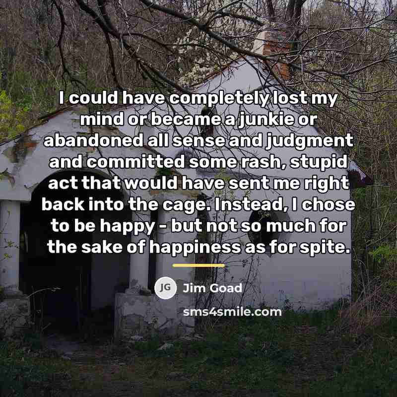 “I could have completely lost my mind or became a…” quote by Jim Goad