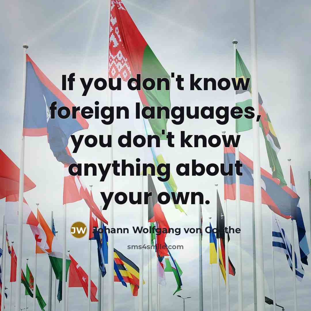 “If you don't know foreign languages, you don't know anything…” quote by Johann Wolfgang von Goethe