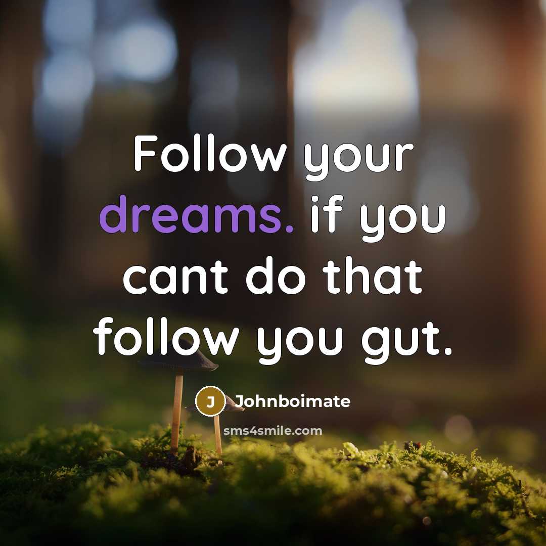 “Follow your dreams. if you cant do that follow you…” quote by Johnboimate