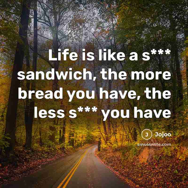 “Life is like a s*** sandwich, the more bread you…” quote by Jojoo