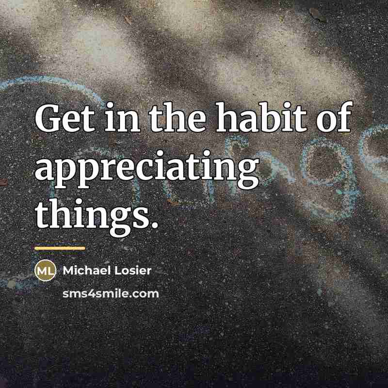 “Get in the habit of appreciating things.…” quote by Michael Losier