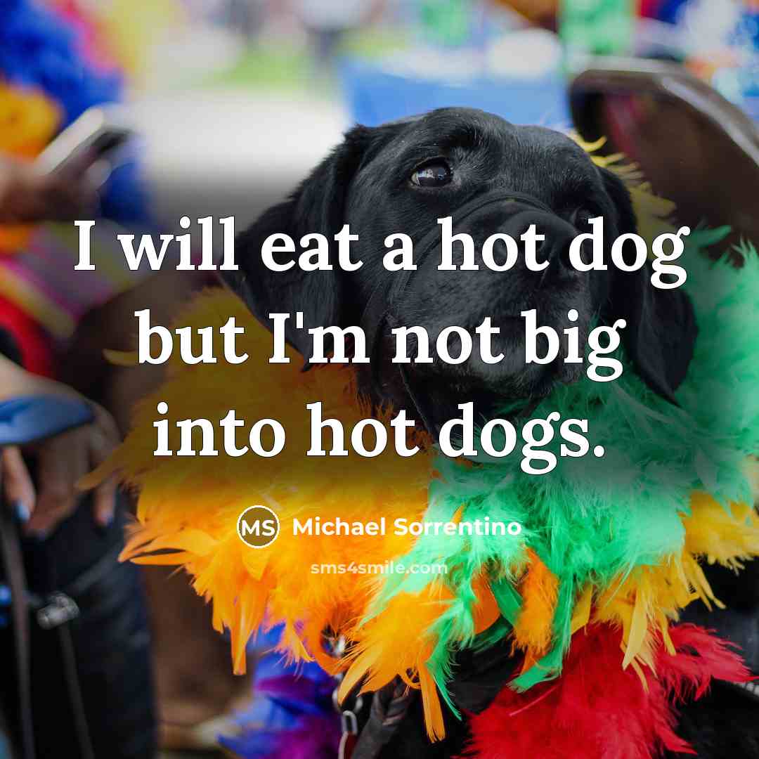 “I will eat a hot dog but I'm not big…” quote by Michael Sorrentino