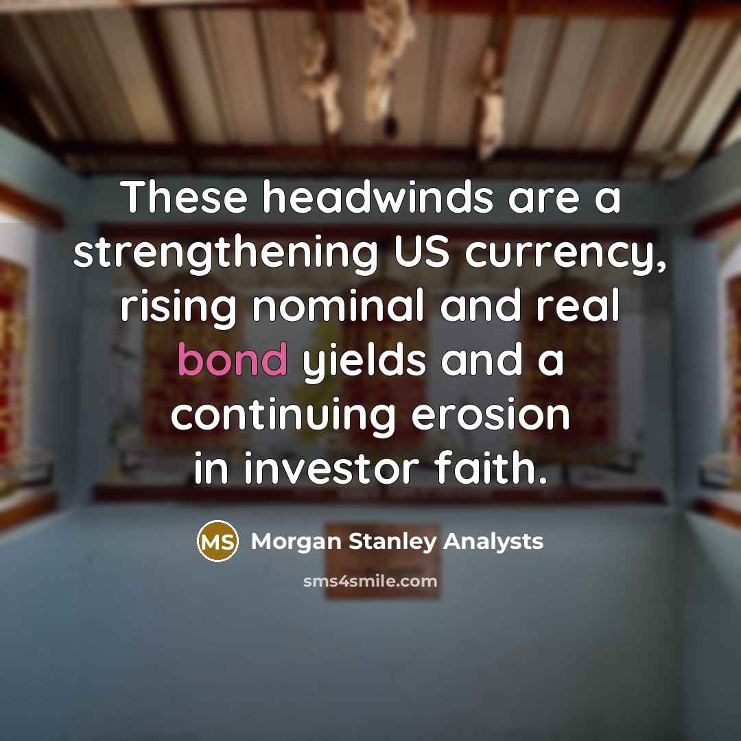 “These headwinds are a strengthening US currency, rising nominal and real bond yields and a continuing erosion in investor faith.” quote by Morgan Stanley Analysts