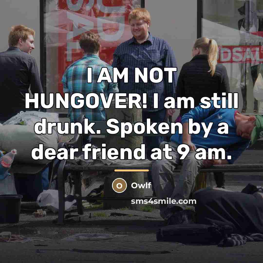“I AM NOT HUNGOVER! I am still drunk. Spoken by…” quote by Owlf
