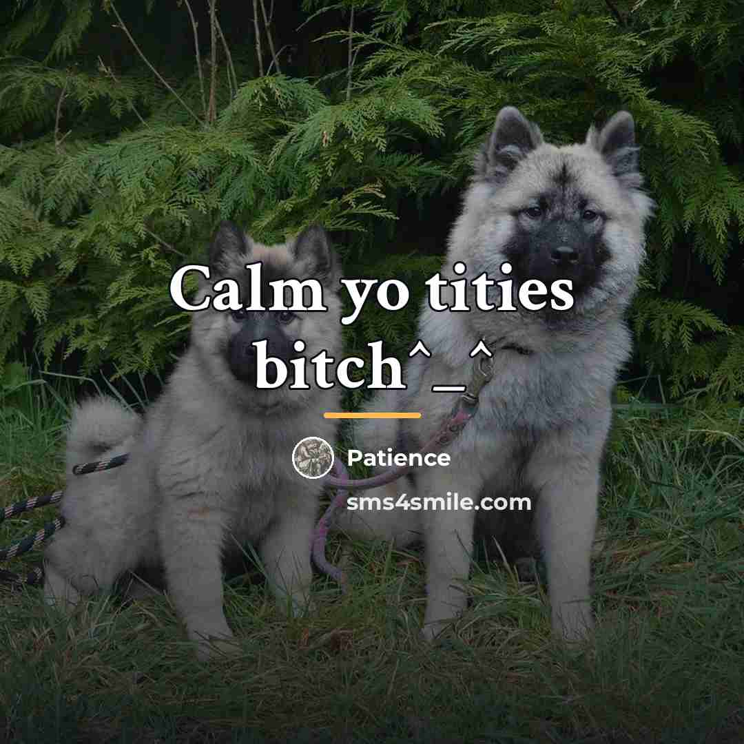 “Calm yo tities bitch^_^…” quote by Patience