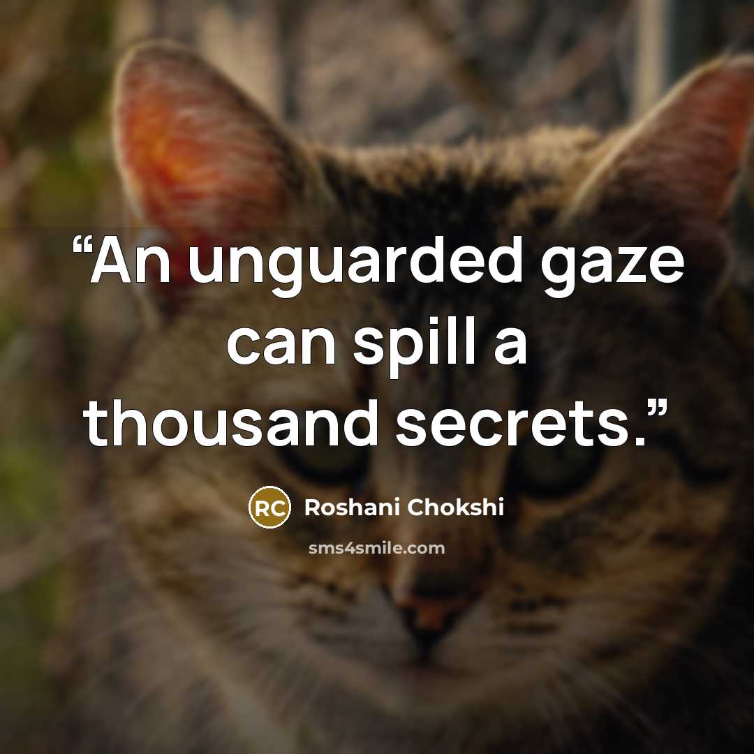 “An unguarded gaze can spill a thousand secrets.” quote by Roshani Chokshi