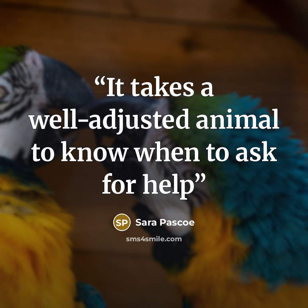 “It takes a well-adjusted animal to know when to ask for help” quote by Sara Pascoe