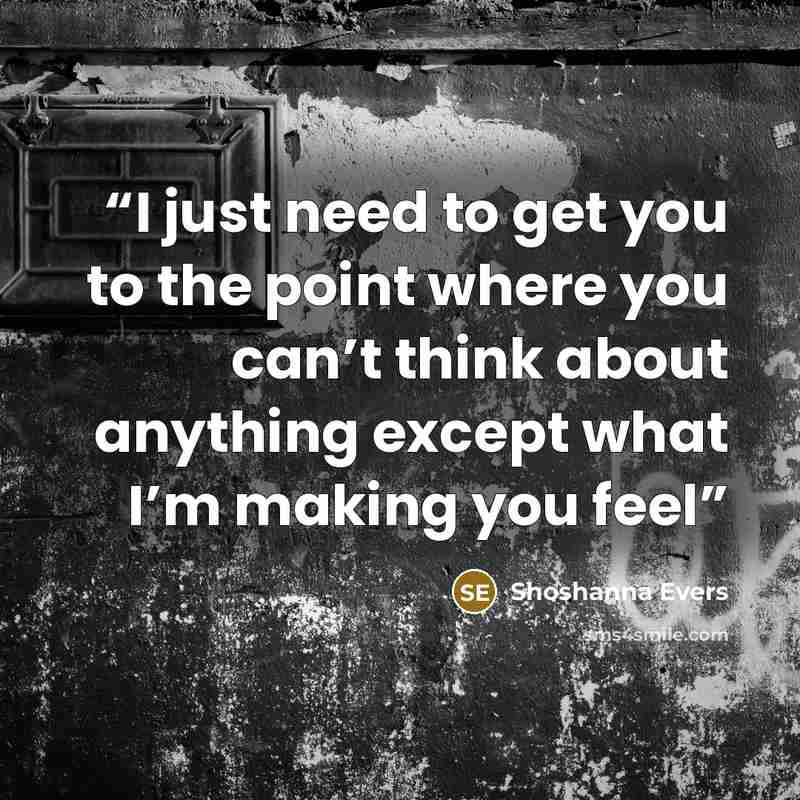 “I just need to get you to the point where you can’t think about anything except what I’m making you feel” quote by Shoshanna Evers