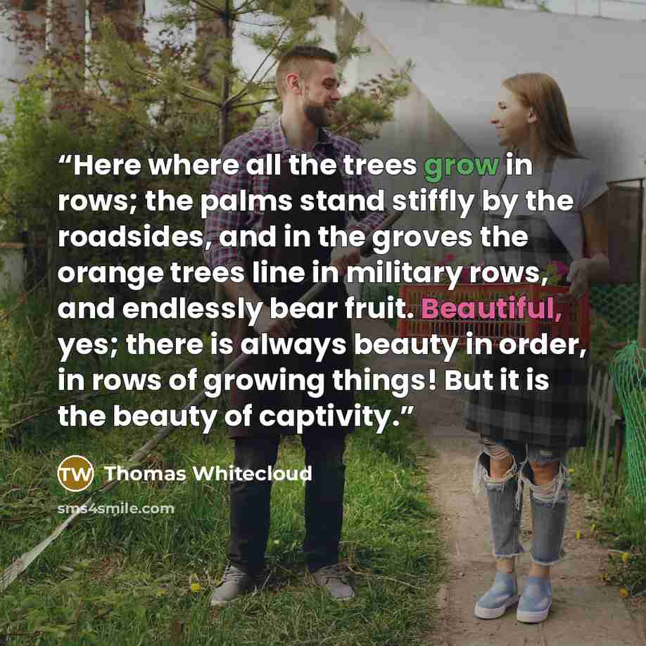 “Here where all the trees grow in rows; the palms stand stiffly by the roadsides, and in the groves the orange trees line in military rows, and endlessly bear fruit. Beautiful, yes; there is always beauty in order, in rows of growing things! But it is the beauty of captivity.” quote by Thomas Whitecloud