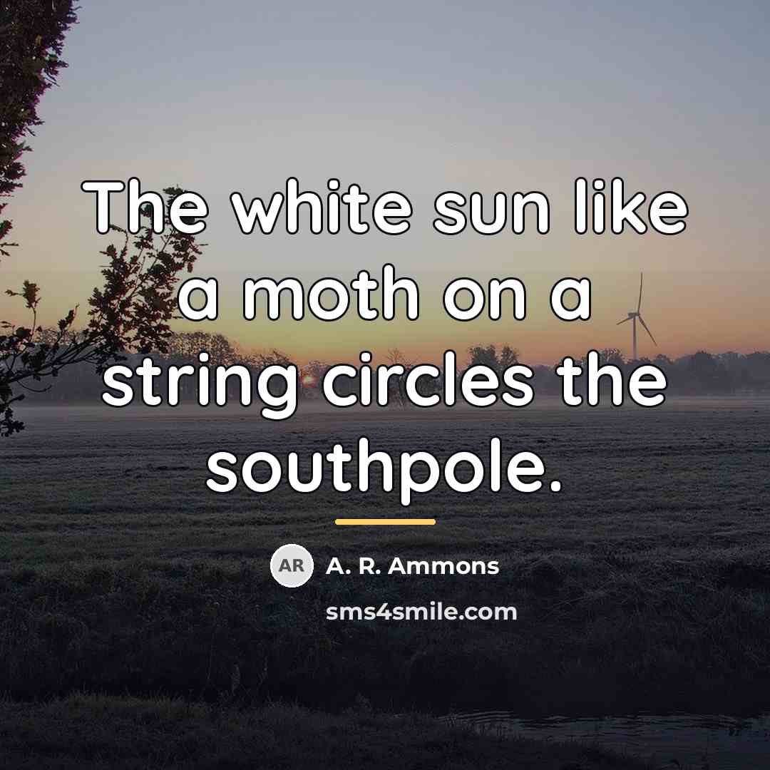 “The white sun like a moth on a string circles…” quote by A. R. Ammons