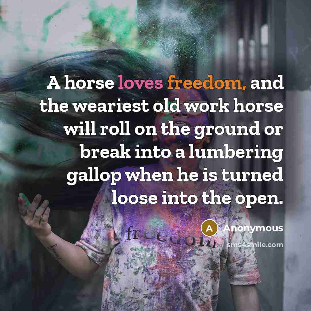 “A horse loves freedom, and the weariest old work horse…” quote by Anonymous