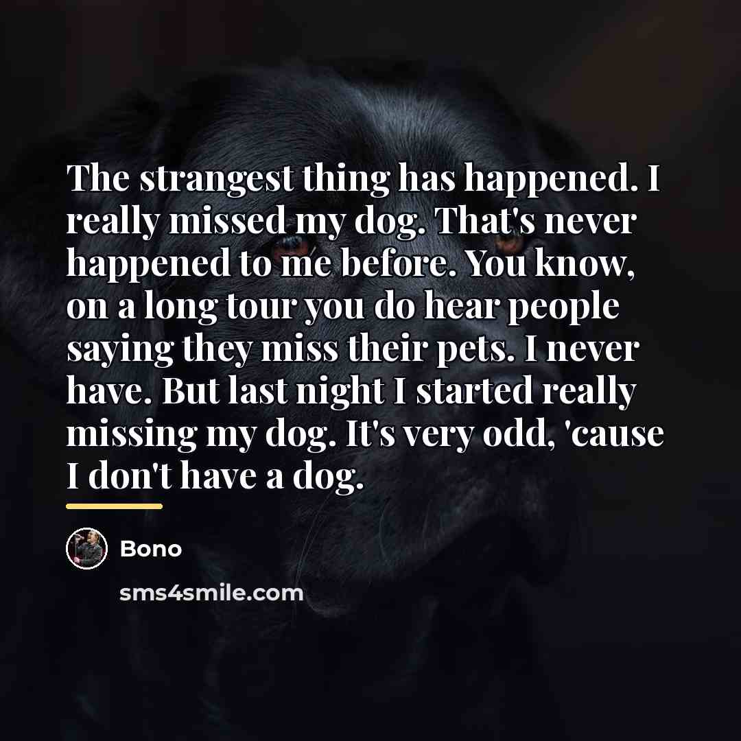“The strangest thing has happened. I really missed my dog.…” quote by Bono