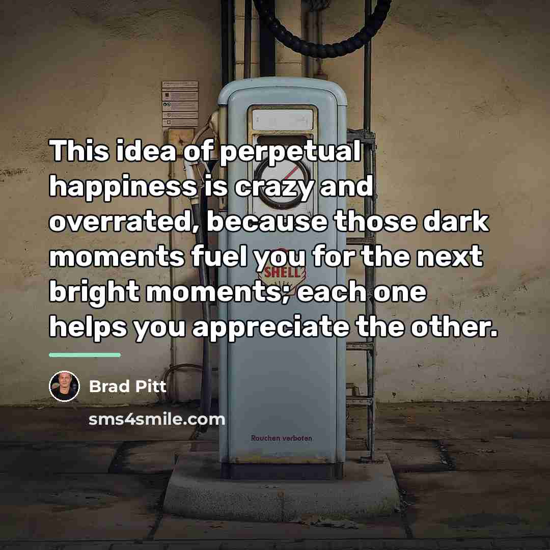 “This idea of perpetual happiness is crazy and overrated, because…” quote by Brad Pitt