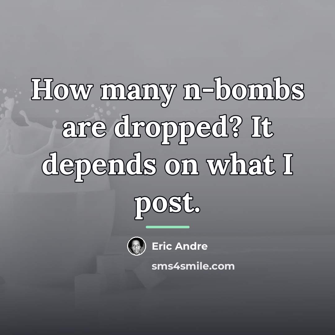 “How many n-bombs are dropped? It depends on what I…” quote by Eric Andre