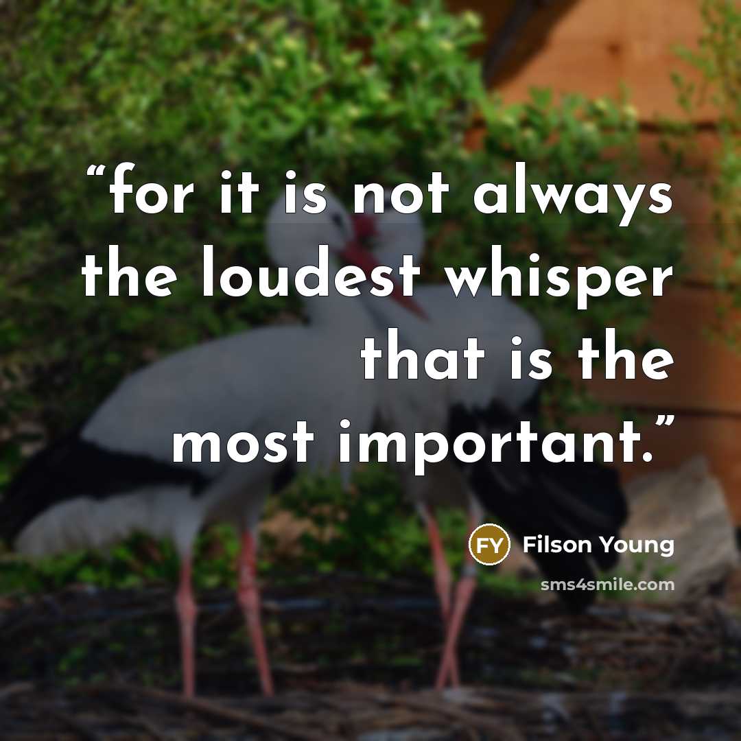 “for it is not always the loudest whisper that is the most important.” quote by Filson Young