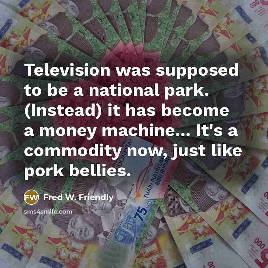 “Television was supposed to be a national park. (Instead) it…” quote by Fred W. Friendly