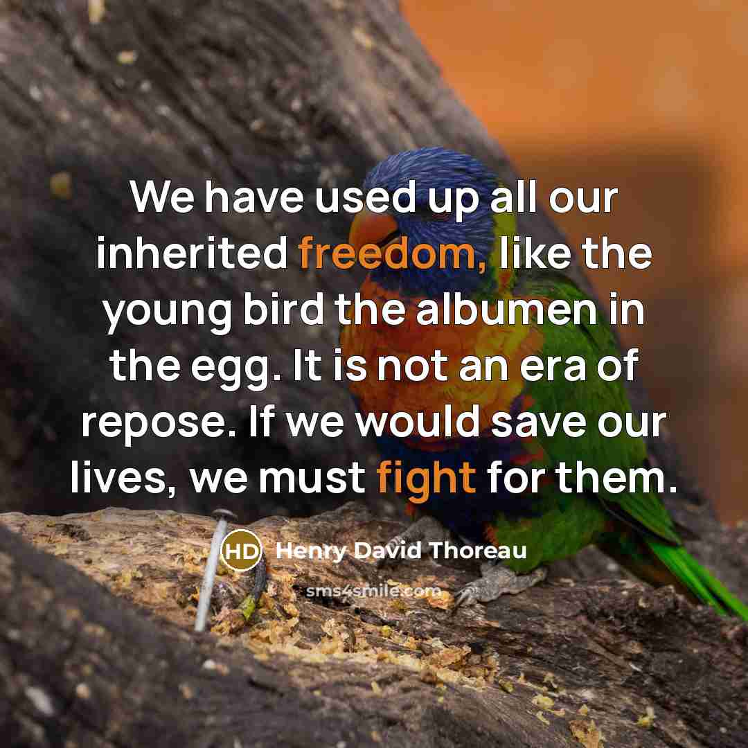 “We have used up all our inherited freedom, like the…” quote by Henry David Thoreau
