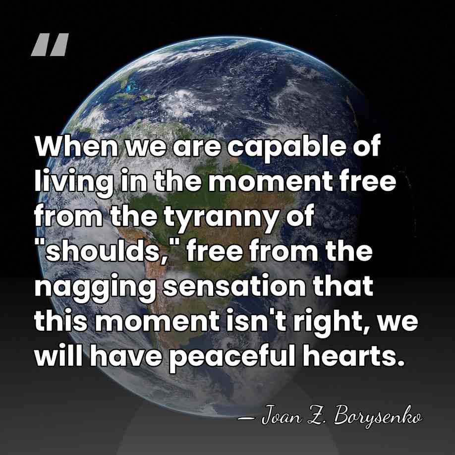 When we are capable of living in the moment free from the&hellip; - Joan Z. Borysenko