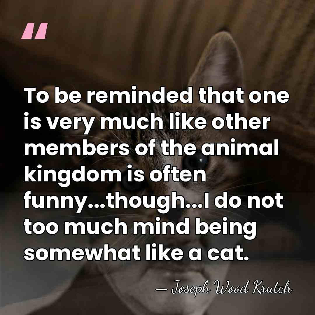 To be reminded that one is very much like other members of&hellip; - Joseph Wood Krutch