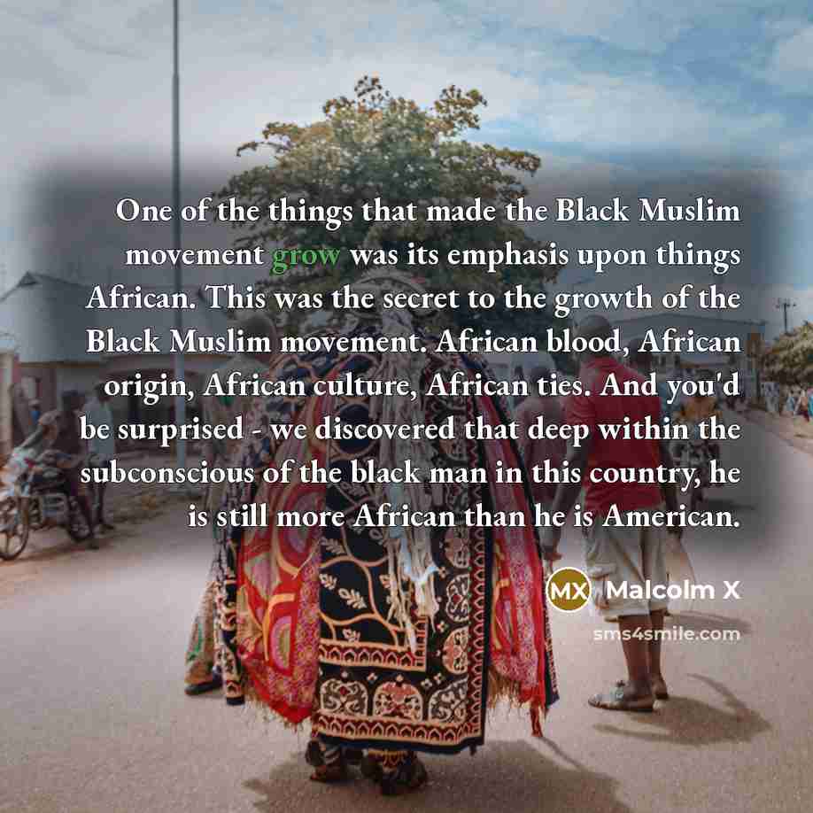 “One of the things that made the Black Muslim movement…” quote by Malcolm X