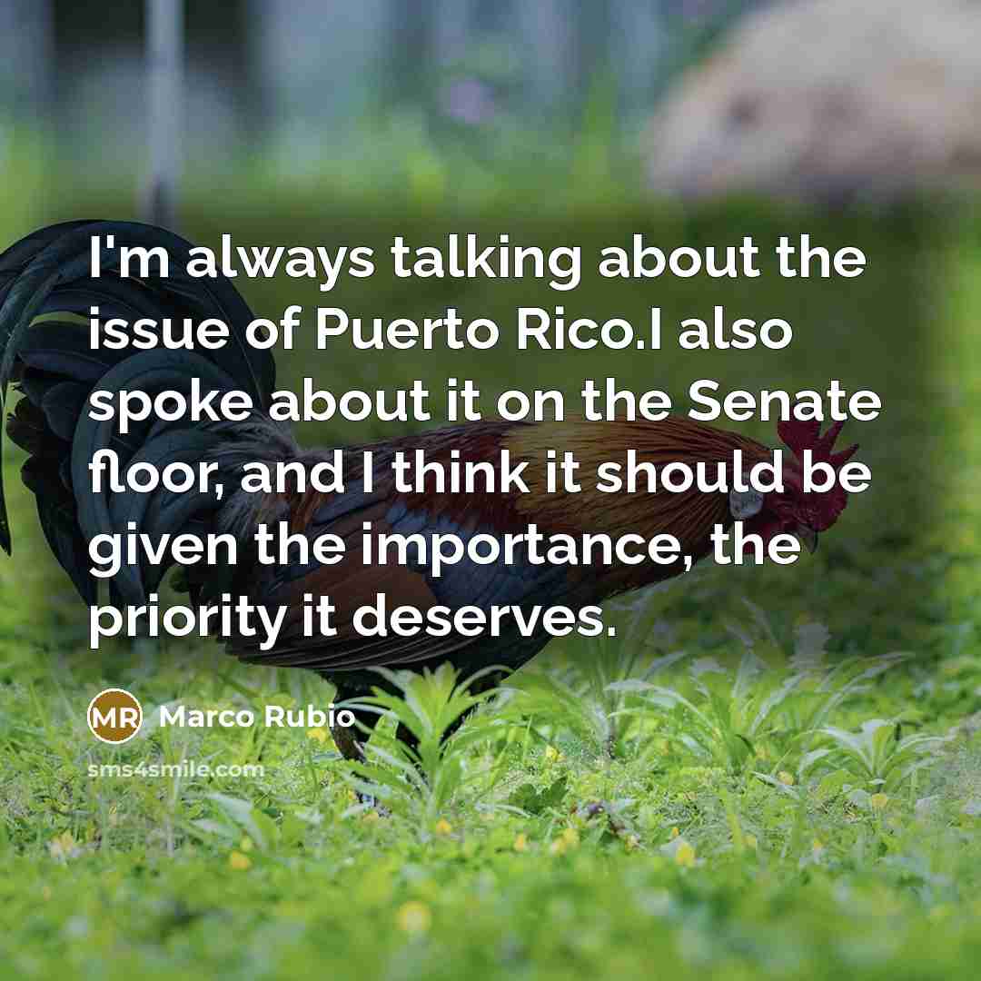 “I'm always talking about the issue of Puerto Rico.I also…” quote by Marco Rubio